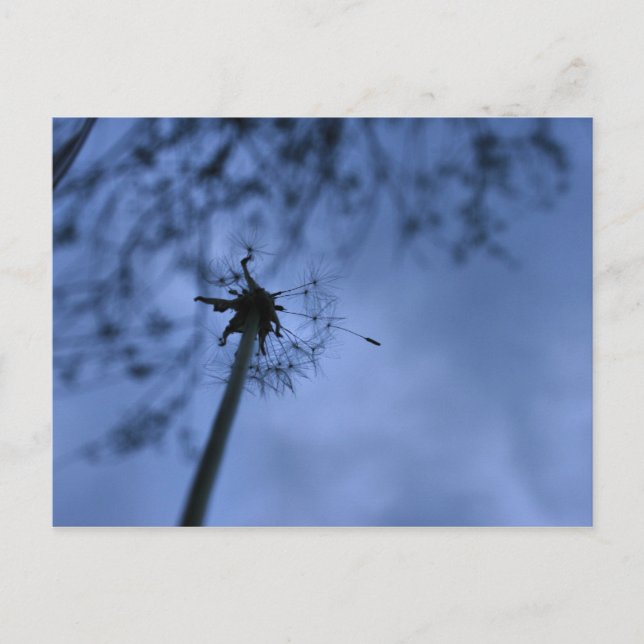 Wünsche Postkarte (Vorderseite)