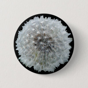 Wünsche sind geckig button