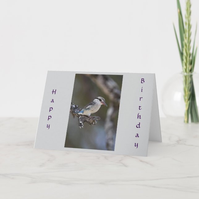 WÜNSCHEN EINER GEMEINSAMEN "SHARED BIRTHDAY" CARD KARTE (Vorderseite)