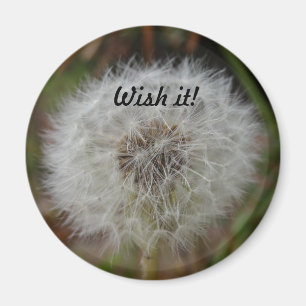 Wünschen Sie ihm Magneten Magnet