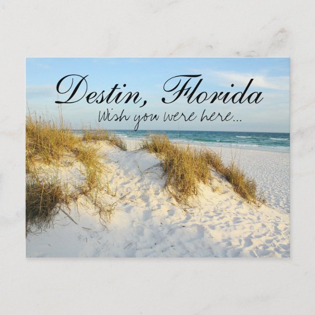 Wünschen Sie sich hier - Destin, Florida Postkarte (Vorderseite)