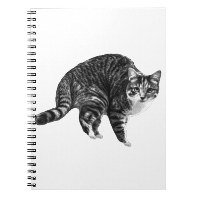 Wunschliste-Tabby-Seiten Notizblock (Vorderseite)