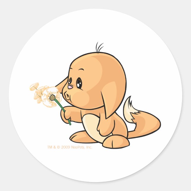 Wunschorange Kacheek Runder Aufkleber (Vorderseite)