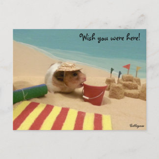 Wünscht, ihr wäret hier! postkarte