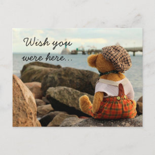 Wünscht, ihr wäret hier Teddy Bear? Postkarte