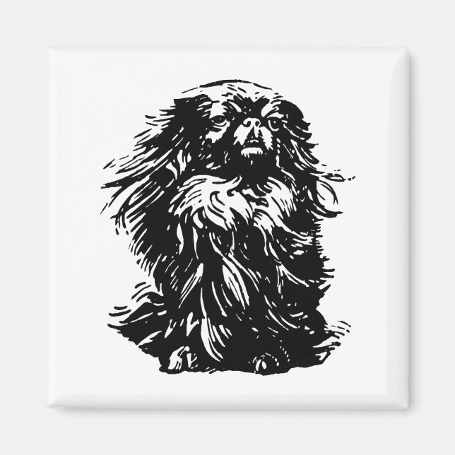 Würde Pekingese Magnet (Vorne)