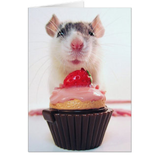 Wurde Yous mag eine Süßigkeit?