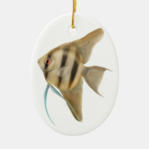 Würdevolle Angelfish-Verzierung Keramik Ornament