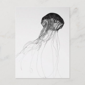 Würdevolle Quallen Postkarte