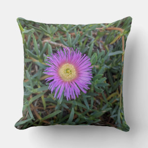 Wurfkissen - Blumenreihe Iceplant-Blüte - Kissen