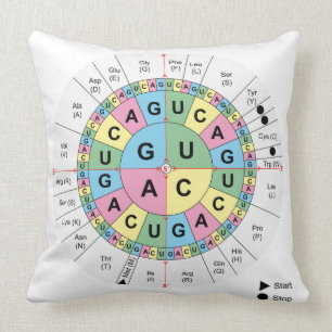 Wurfs-Kissencodons-Aminosäure-genetischer Code DNS Kissen