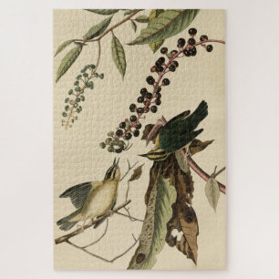 Wurm frisst Warbler - Audubons Vögel in Amerika