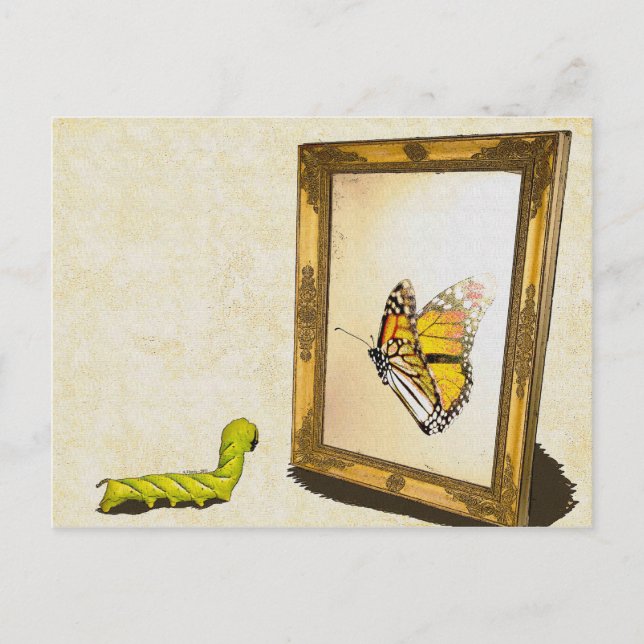 Wurm und der Spiegel! Postkarte (Vorderseite)