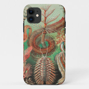 Würmer, Anneliden Chaetopoda von Ernst Haeckel Case-Mate iPhone Hülle
