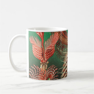 Würmer, Anneliden Chaetopoda von Ernst Haeckel Kaffeetasse
