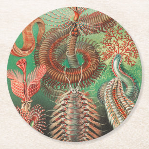 Würmer, Anneliden Chaetopoda von Ernst Haeckel Runder Pappuntersetzer