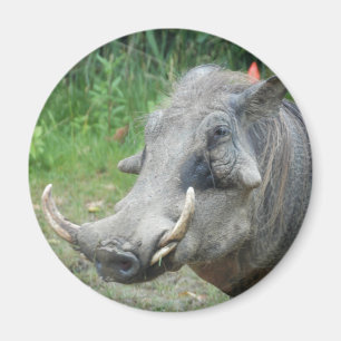 Würze-Hog10x10 Magnet