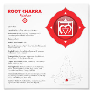 Wurzel Chakra Plakat Fotodruck