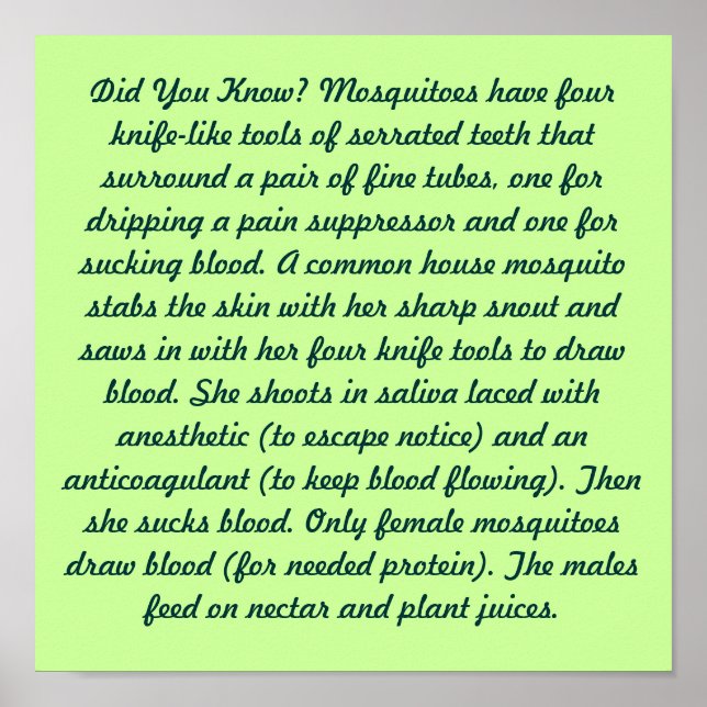 Wusstest Du? Poster (Vorne)