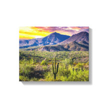Wüste 2124-2-Arizona bei Sonnenuntergang