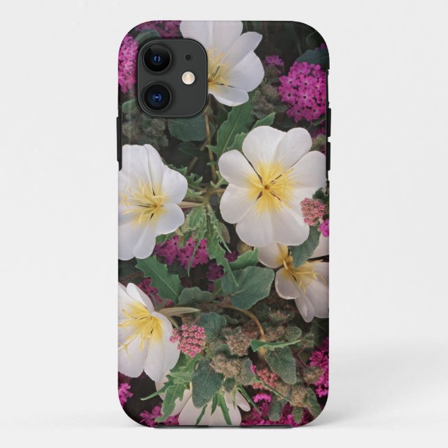 Wüste Abend Primrose und Wüste Sand Verbena, Case-Mate iPhone Hülle (Rückseite)