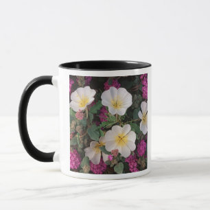Wüste Abend Primrose und Wüste Sand Verbena, Tasse