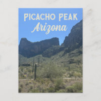 Wüste Arizona Landschaft Saguaro Kaktus Natur