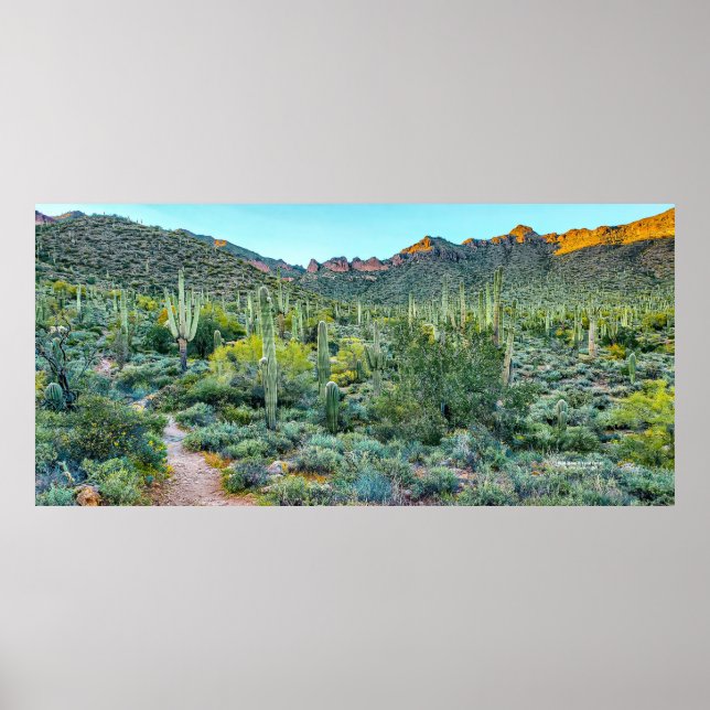 Wüste Arizona Wanderweg Saguaro Cactus Forest Poster (Vorne)