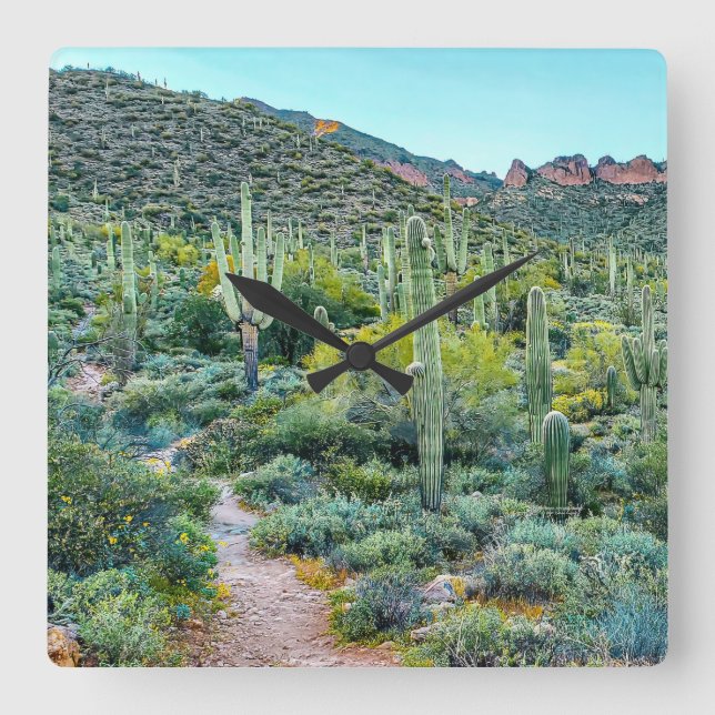 Wüste Arizona Wanderweg Saguaro Cactus Forest Quadratische Wanduhr (Vorderseite)