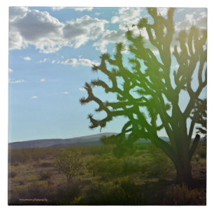 Wüste Beauty Fliese