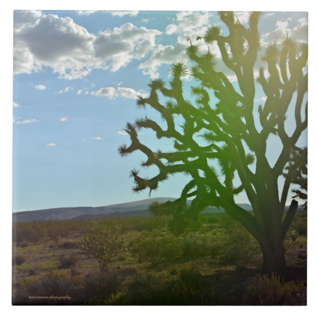 Wüste Beauty Fliese (Vorderseite)