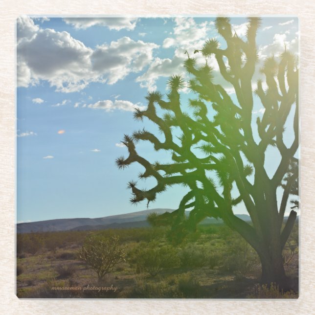 Wüste Beauty Glasuntersetzer (Vorderseite)