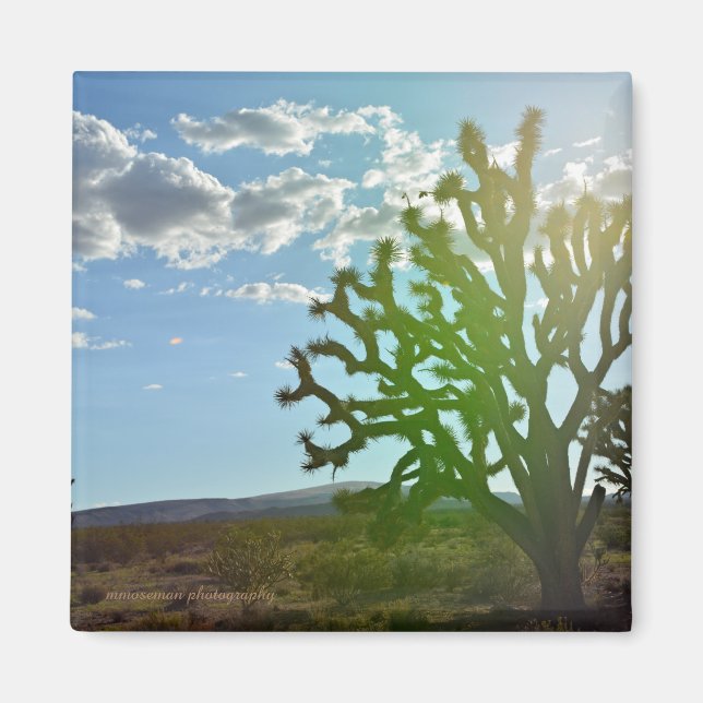 Wüste Beauty Magnet (Vorne)