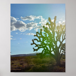 Wüste Beauty Poster