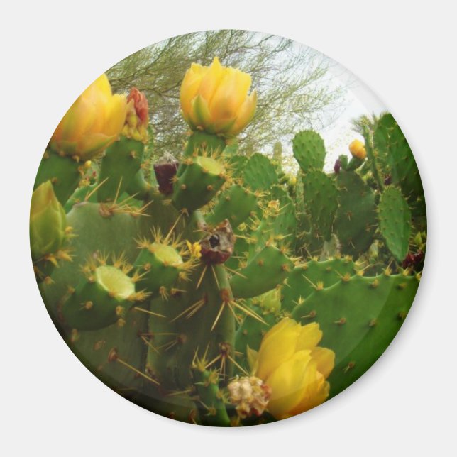 Wüste-Blume Magnet (Vorne)