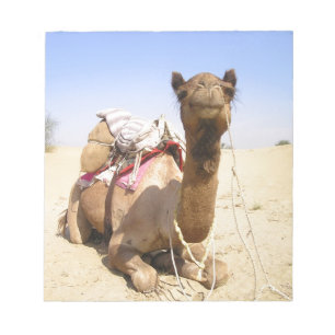 Wüste Camel Naher Osten Liebe Natur Schicksal Notizblock