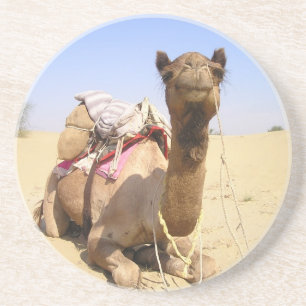Wüste Camel Naher Osten Liebe Natur Schicksal Untersetzer
