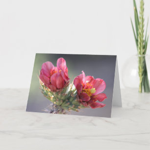 Wüste Cholla Bloom Card Karte