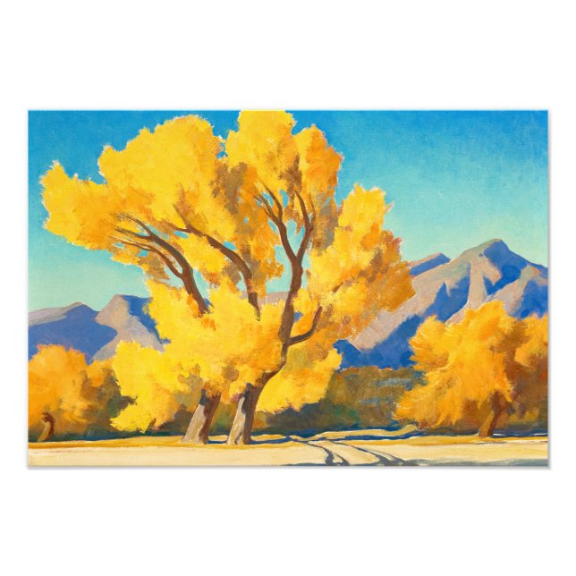 Wüste Cottonwood, Arizona von Maynard Dixon Fotodruck (Vorne)