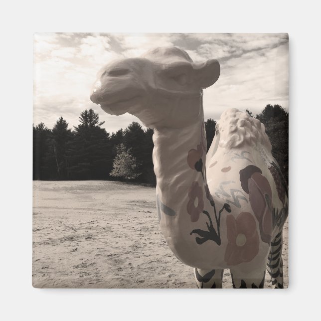 Wüste der Maine Magnet (Vorne)