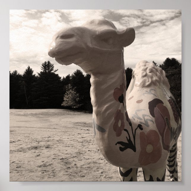 Wüste der Maine Poster (Vorne)