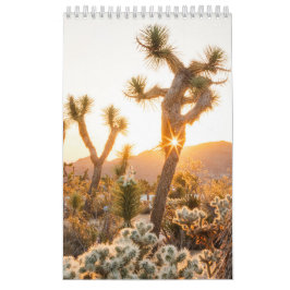 Wüste-Foto-Geschenk mit Kaktus Kalender