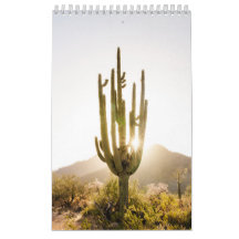 Wüste-Foto-Geschenk mit Kaktus