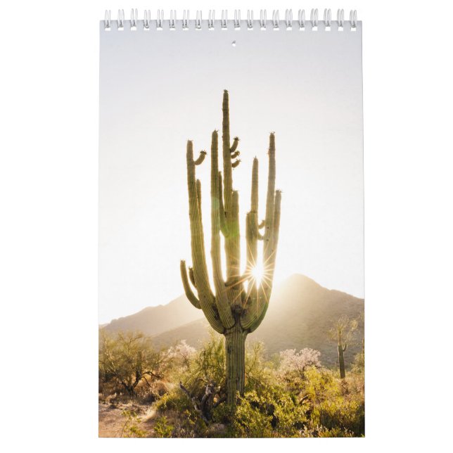 Wüste-Foto-Geschenk mit Kaktus Kalender (Titelbild)