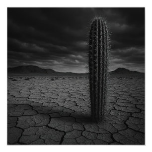 Wüste - Fotodruck