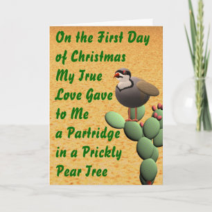 Wüste Frohe Weihnachten