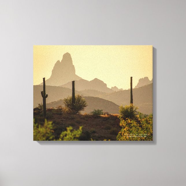 Wüste im Südwesten: Needle AZ 20x16 Leinwanddruck (Vorderseite)