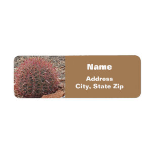 Wüste im Südwesten Pflanze Roter Barrel Cactus