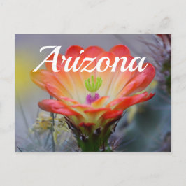 Wüste in Bloom, Arizona Postkarte