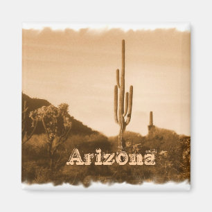 Wüste in Sepia, Arizona Magnet